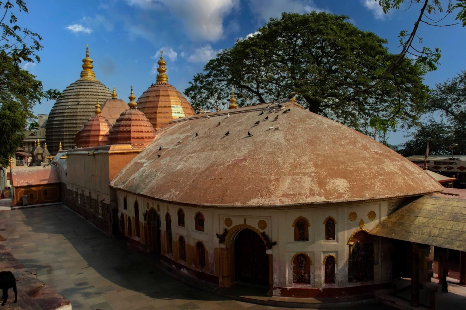 Kamakhya Temple Darshan & Aarti Timings, Prasad, Dress Code Guide