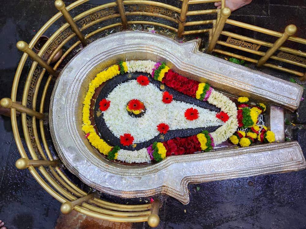 Grishneshwar Laghu Rudrabhishek Puja